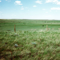 Cheap Land Wyoming