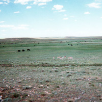 Land in Wyoming